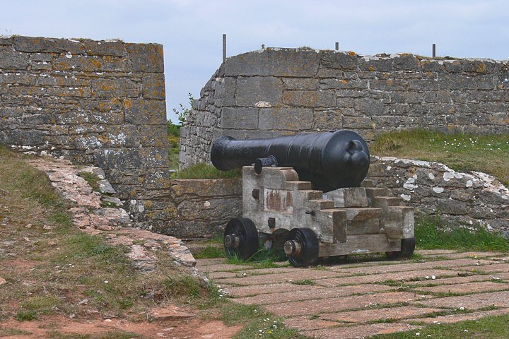 Cannon