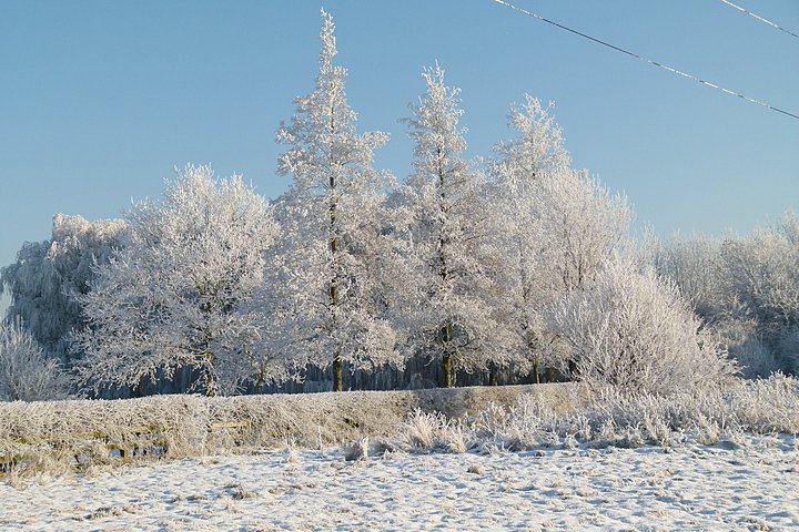 frost