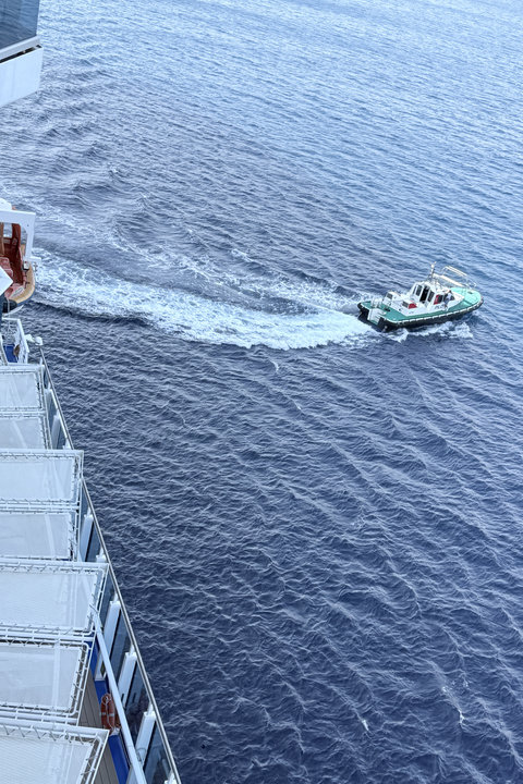 Pilot departing ship